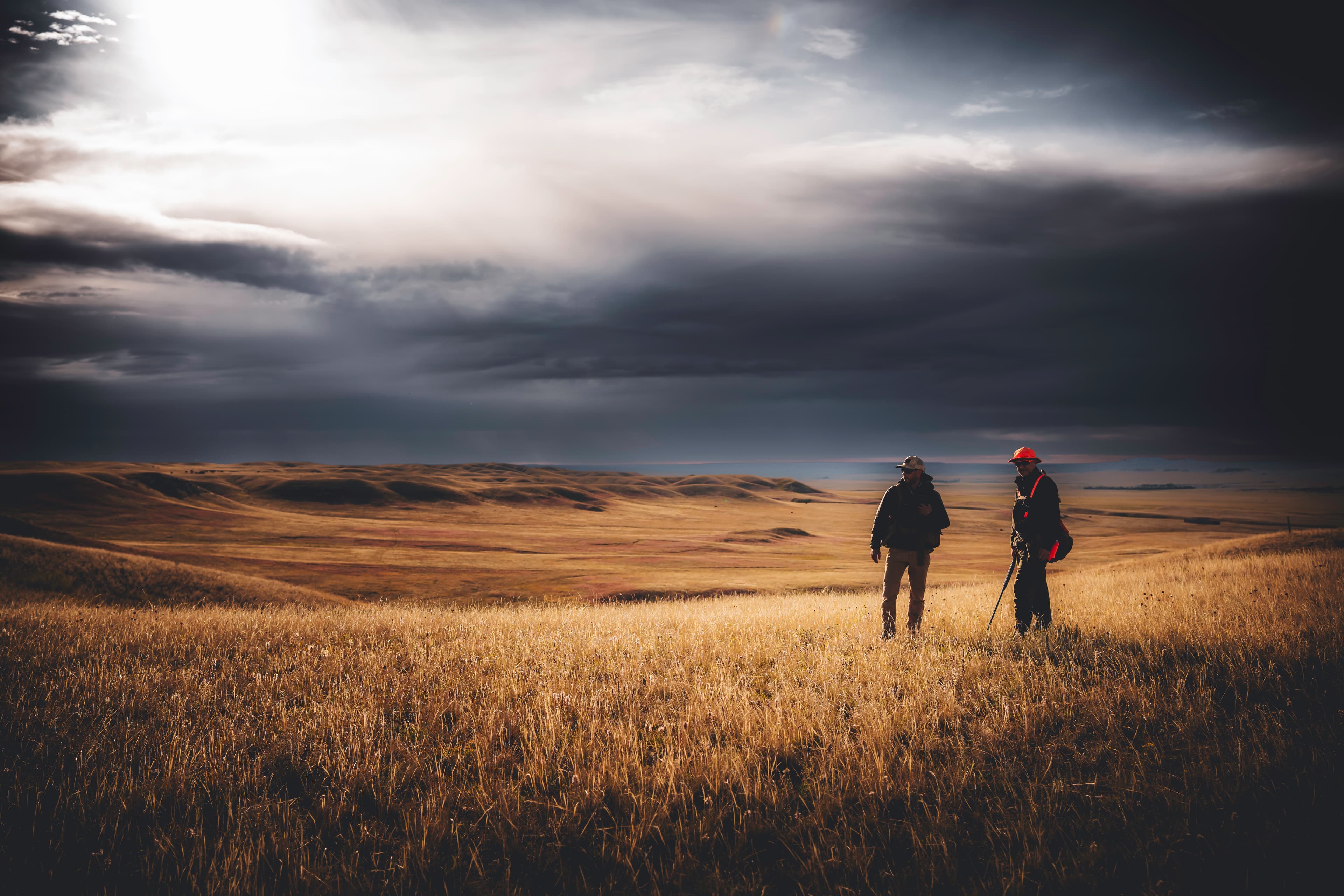 Two people standing in tall grass beneath a stormed sky.