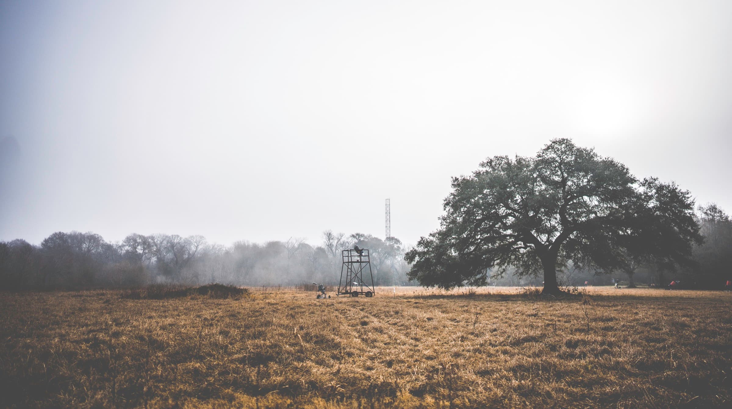 A quiet sporting clays field with a large tree, a tower, and pale morning atmosphere.