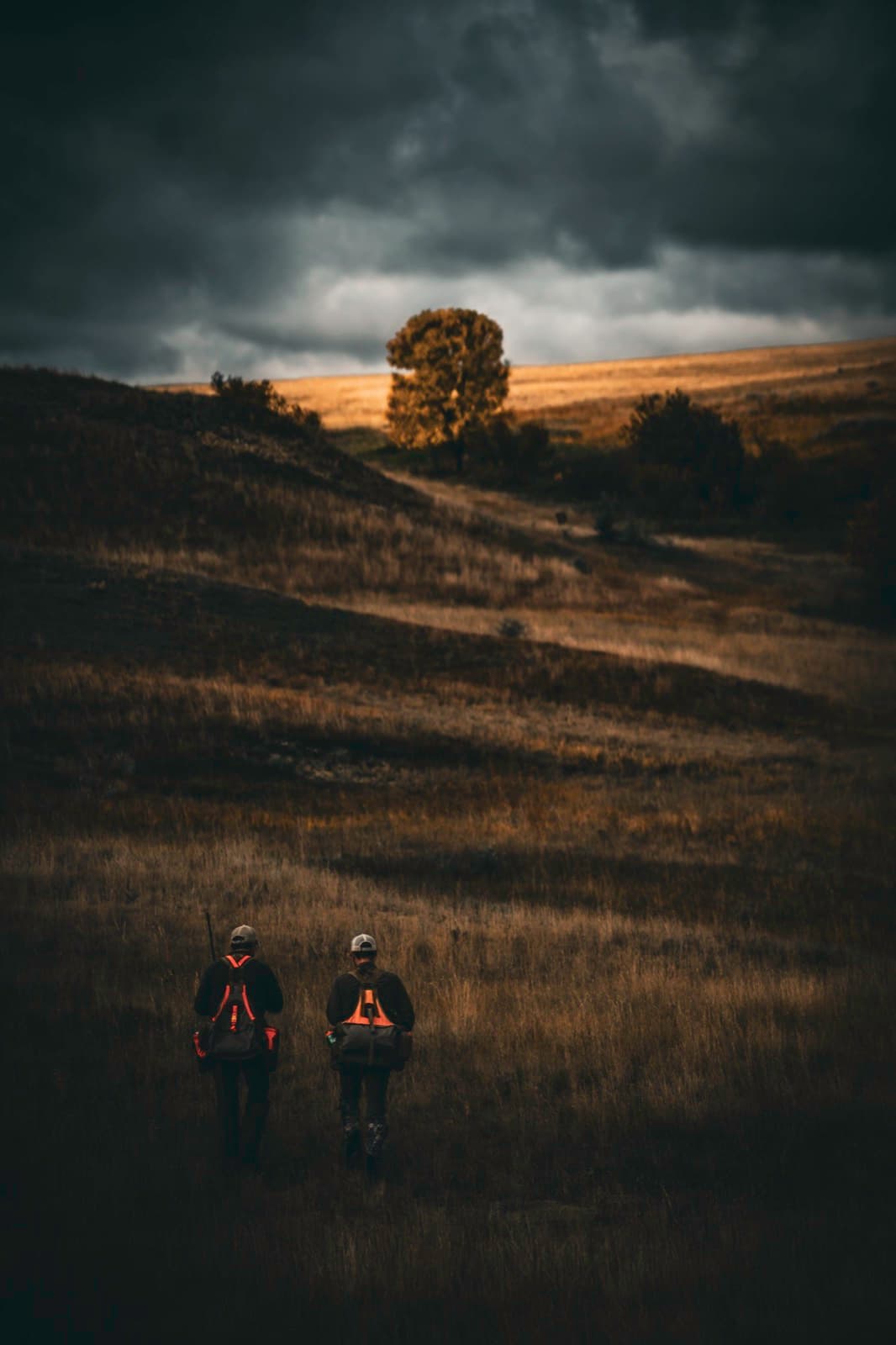 Two figures moving toward a lit field and tree line.