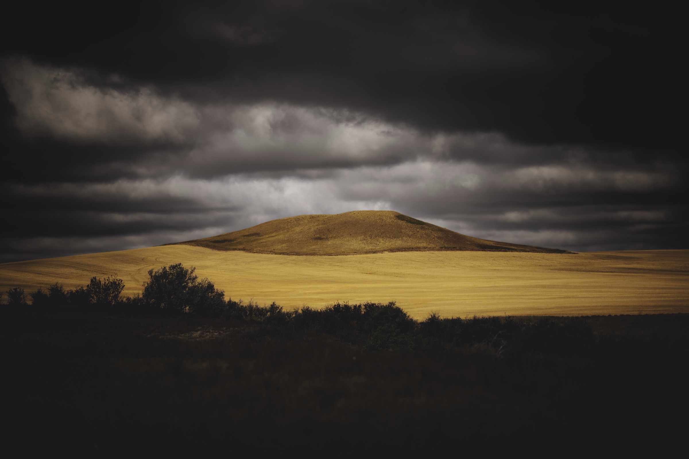 Storm clouds moving over a golden field.